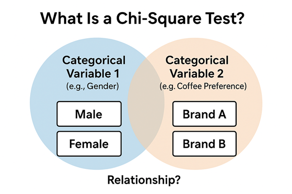 What Is a Chi-Square Test